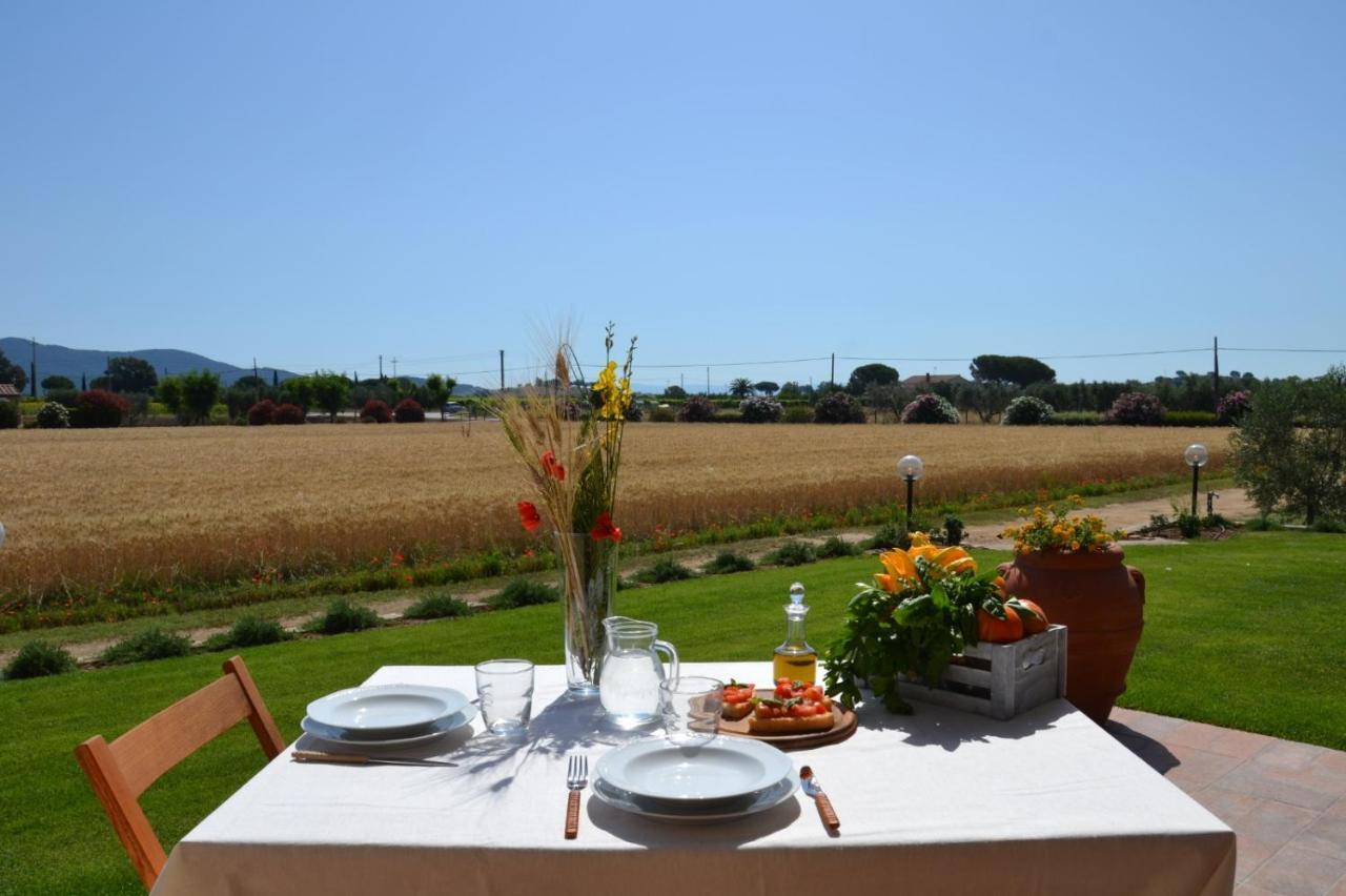 Agriturismo Il Vecchio Mandorlo 카스틸리오네 델라 페스카이아 외부 사진