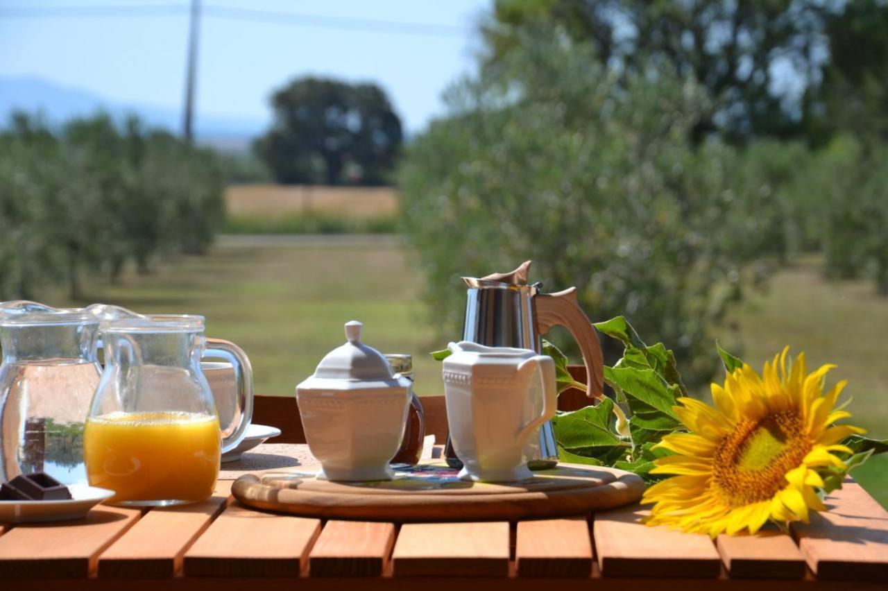 Agriturismo Il Vecchio Mandorlo 카스틸리오네 델라 페스카이아 외부 사진