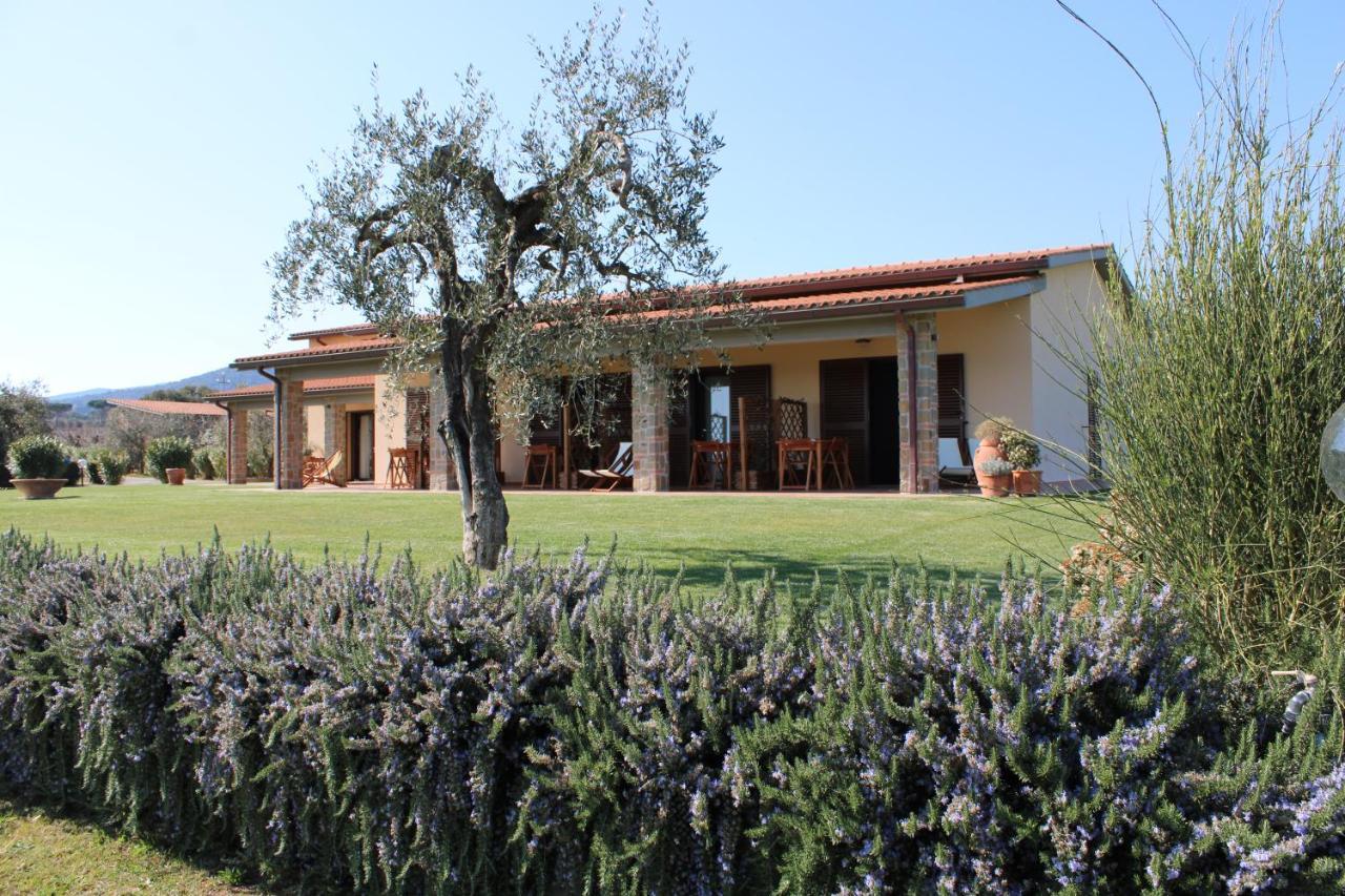 Agriturismo Il Vecchio Mandorlo 카스틸리오네 델라 페스카이아 외부 사진